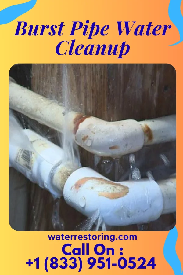 Burst Pipe Water Cleanup in Callery, PA